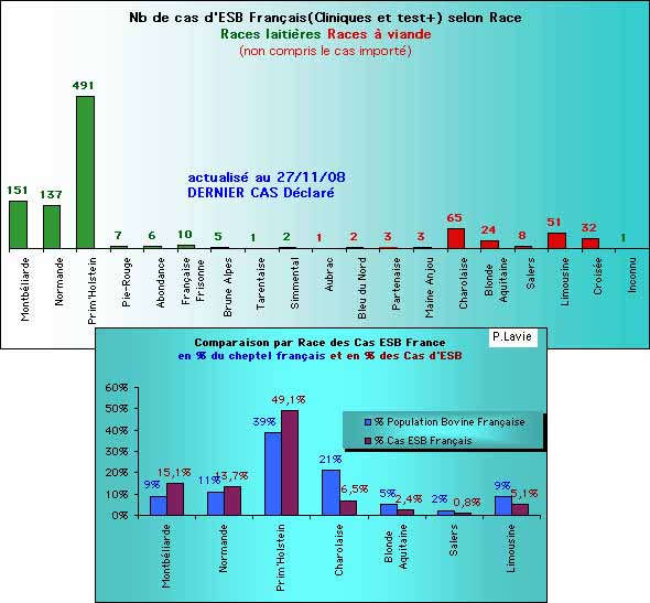 races bovines et ESB France