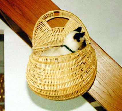 Panier &agrave; chat