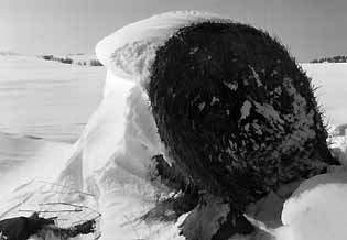 botte de foin sous la neige