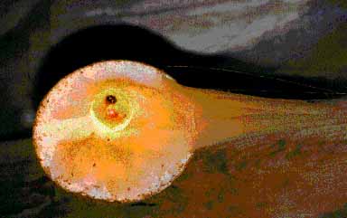 eclairage tamis&eacute; !