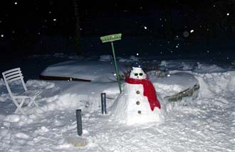 Bonhomme de neige, la nuit