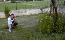 margot arrose les fleurs