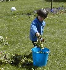 Margot d&eacute;sherbe la pelouse